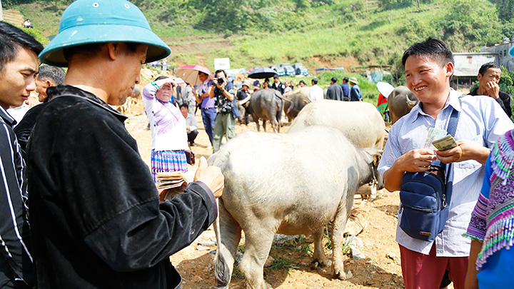 Chợ trâu Cán Cấu -0