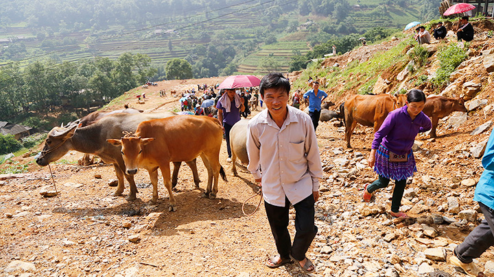 Chợ trâu Cán Cấu -0