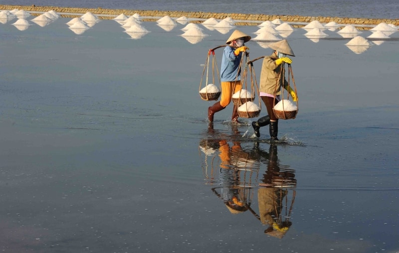 Những hình thật đẹp, thật bình dị về người nông dân làm muối ở Sa Huỳnh (Ảnh: ST)