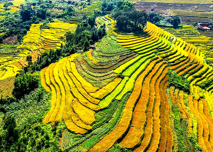 Bình Liêu Quảng Ninh